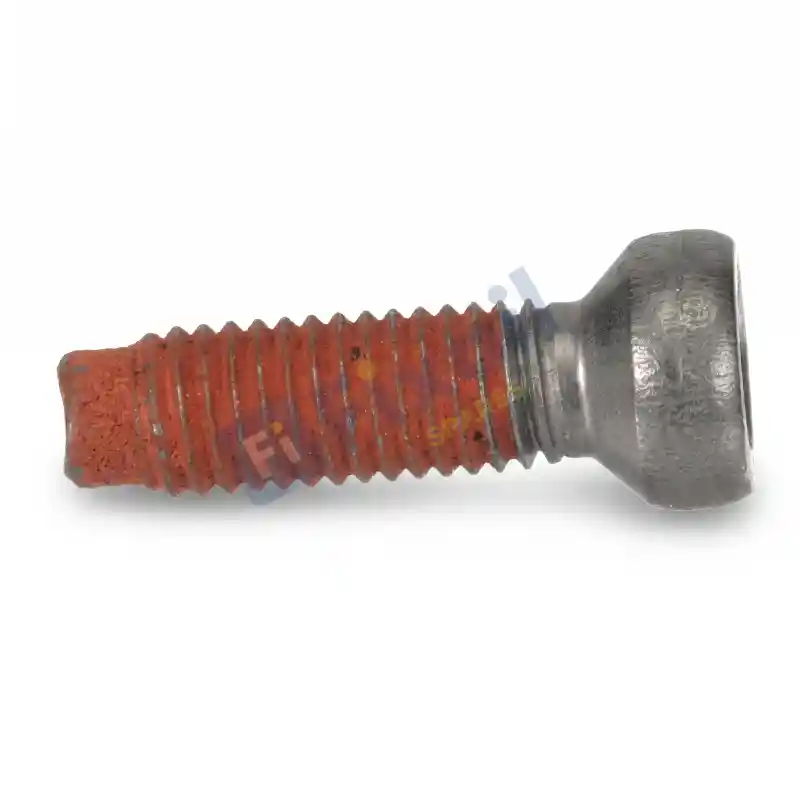 Screw,Customized